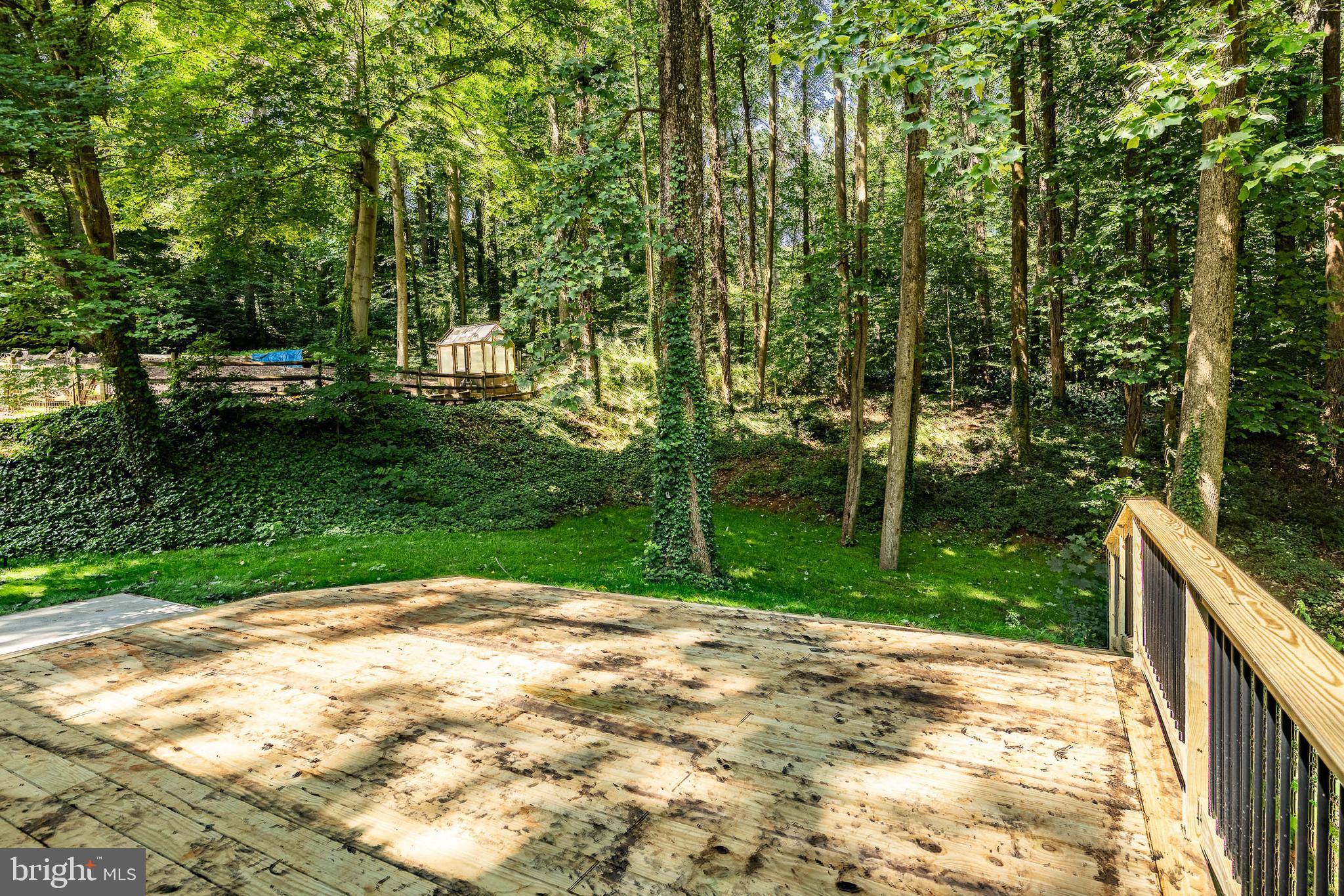 4 Blue Jay Drive Newark, DE 19713 - Photo 50 of 59 View from the back door