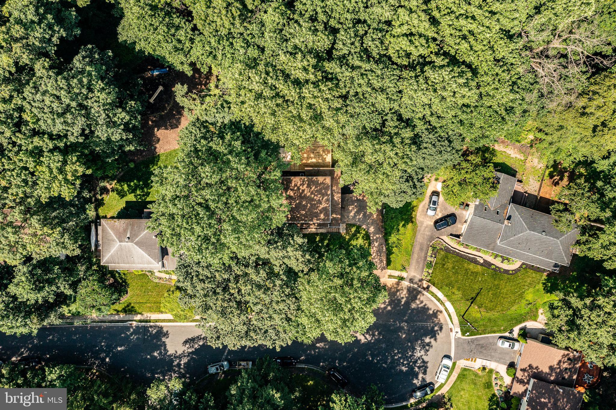 4 Blue Jay Drive Newark, DE 19713 - Photo 54 of 59
