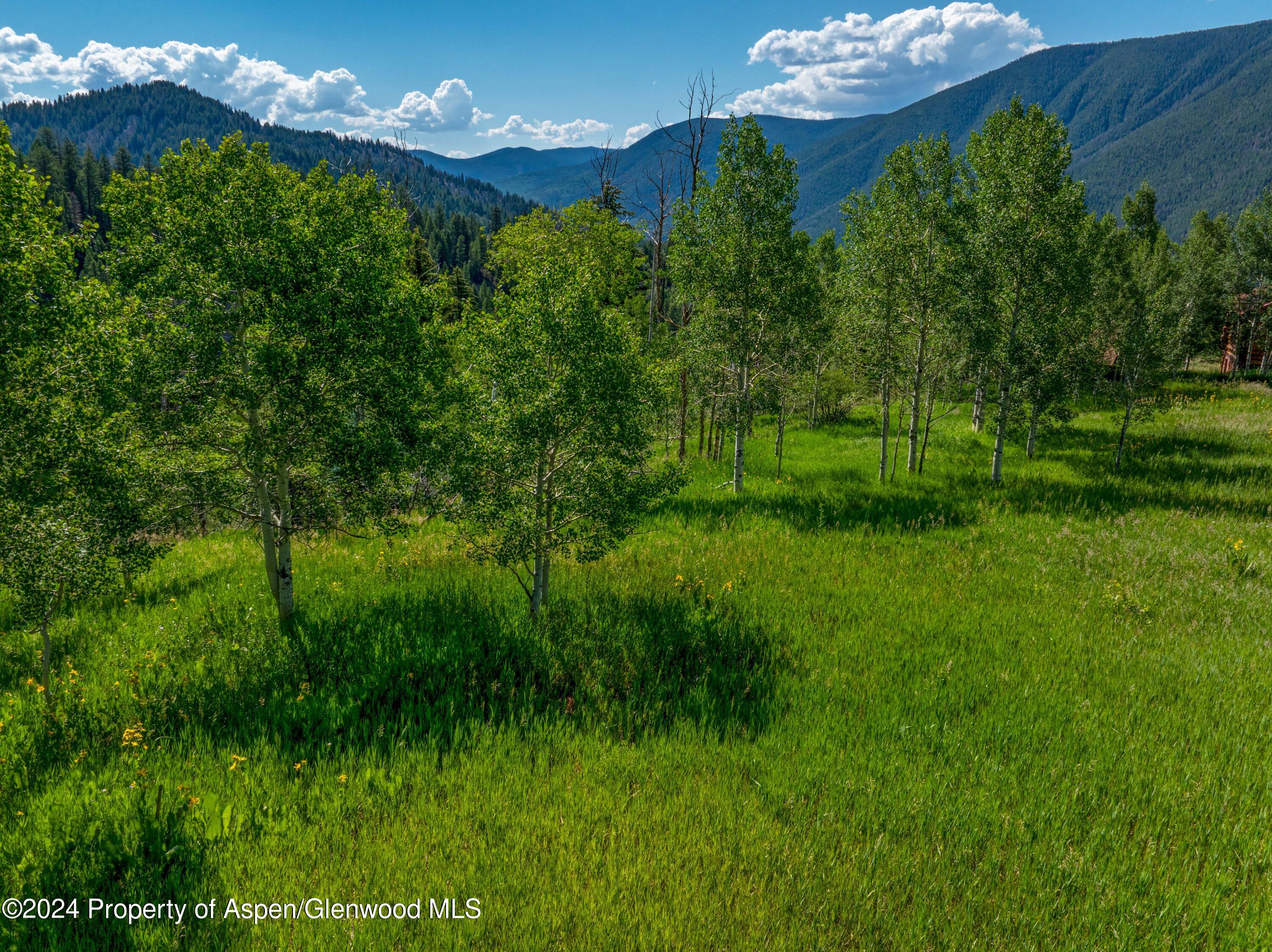 1239 McLaughlin Lane Basalt, CO 81621 - Photo 4 of 12 Wooded