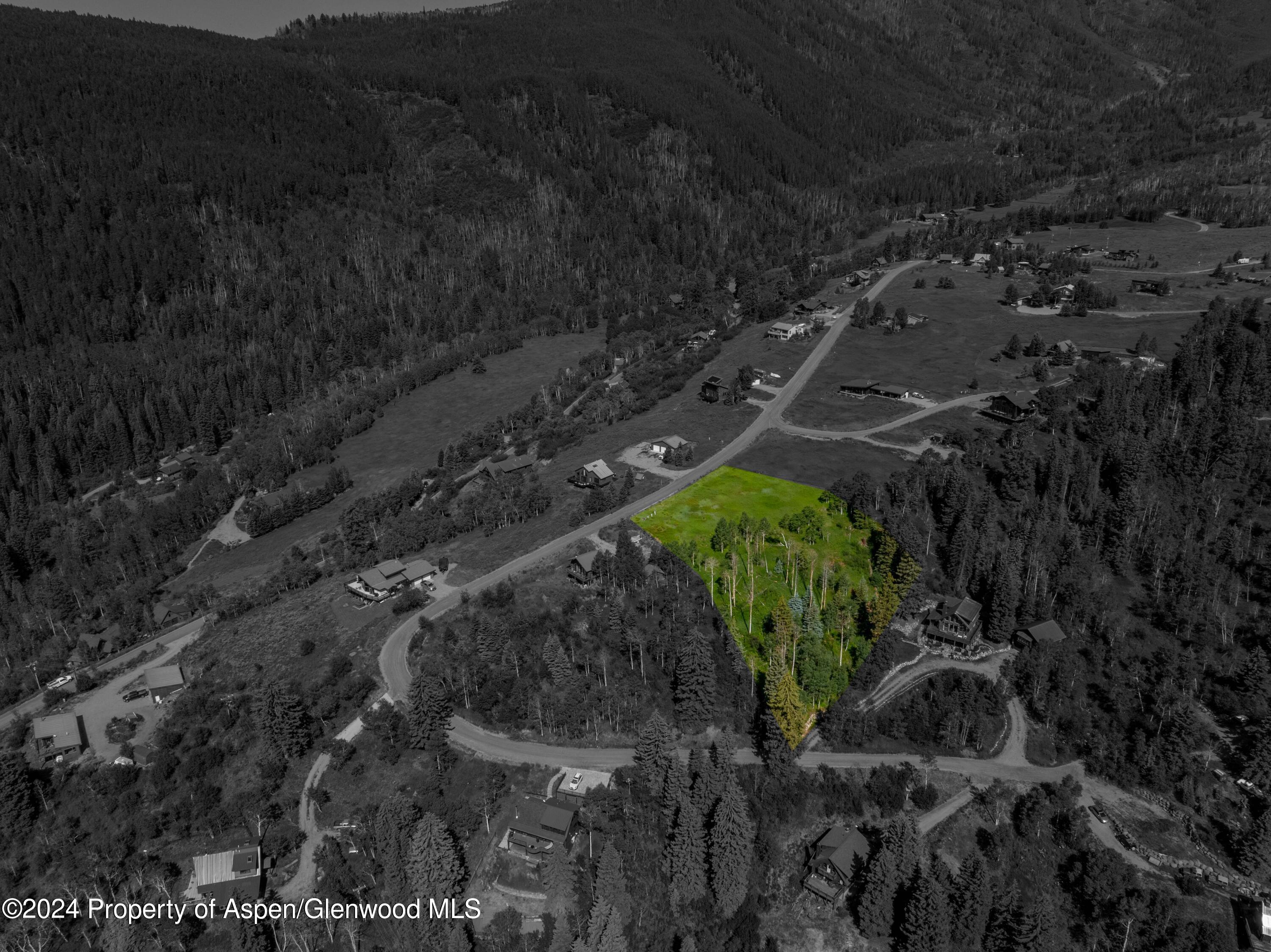 1239 McLaughlin Lane Basalt, CO 81621 - Photo 8 of 12 8