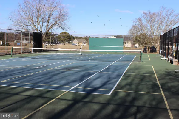 a view of a garden with plants and large trees