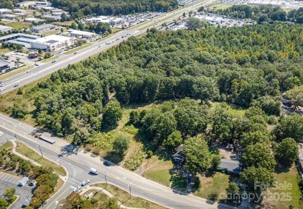 a view of a garden with plants