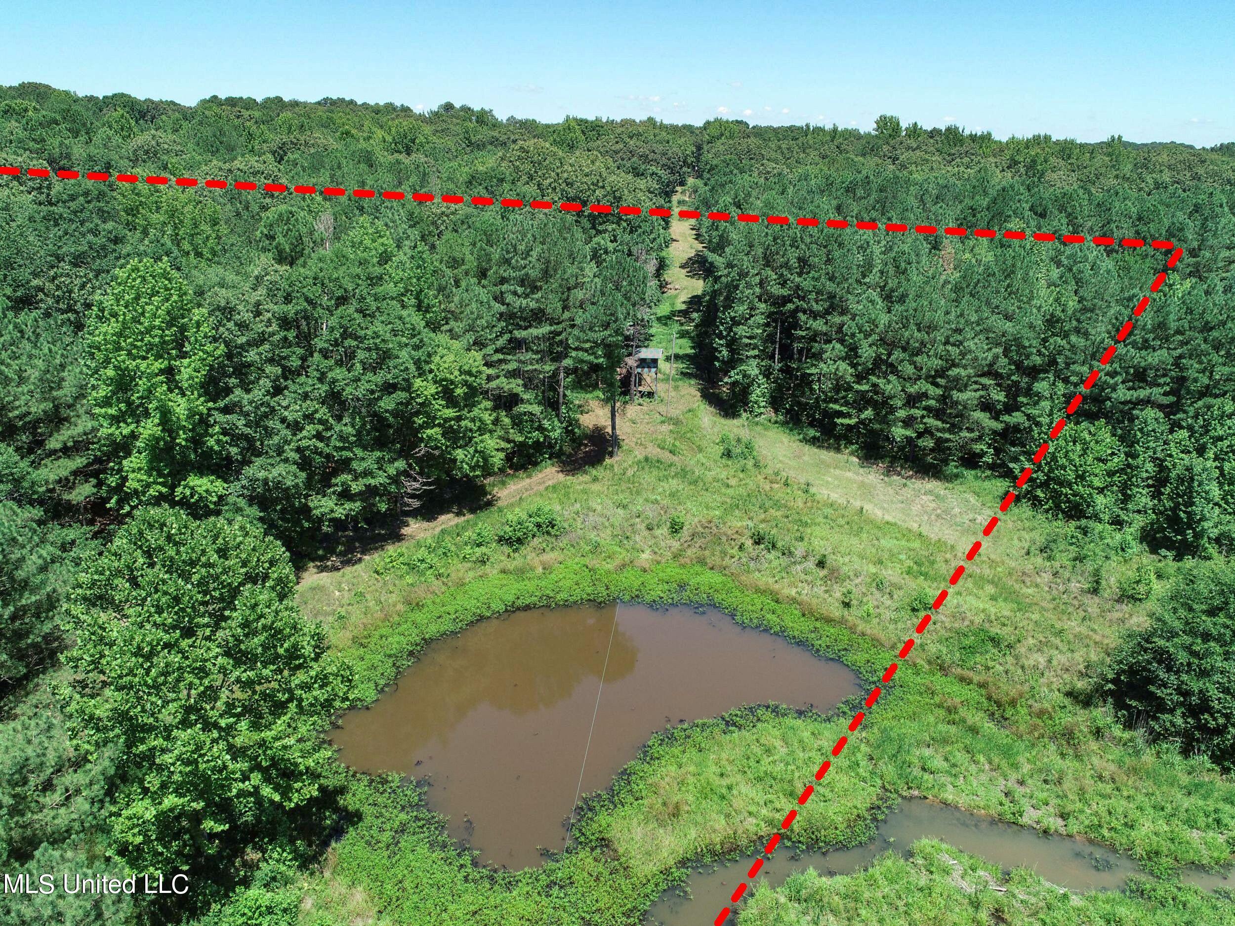 1575 State Park Road Sardis, MS 38666 - Photo 12 of 48 2statepkrd17a
