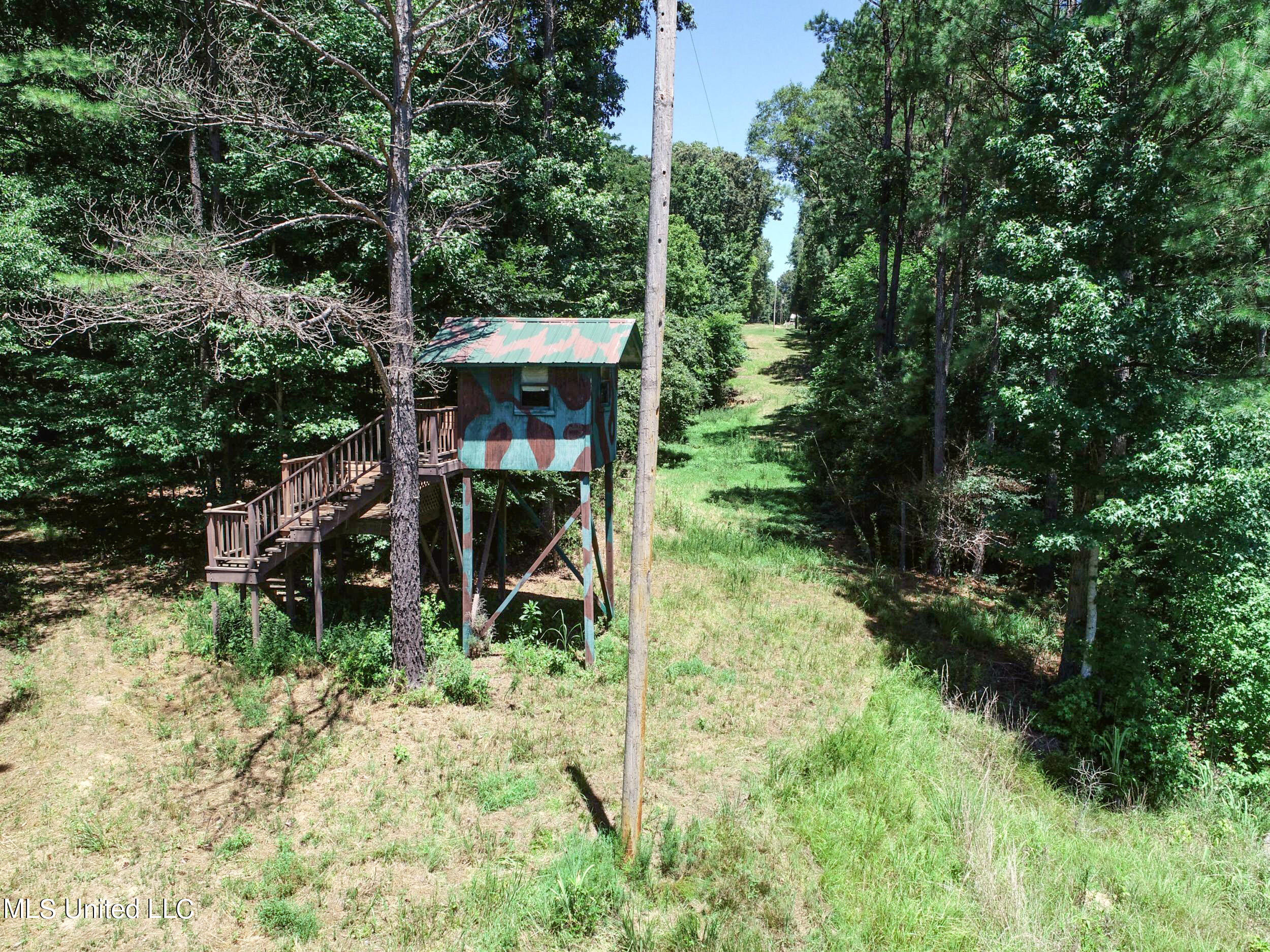 1575 State Park Road Sardis, MS 38666 - Photo 13 of 48 2statepkrd19