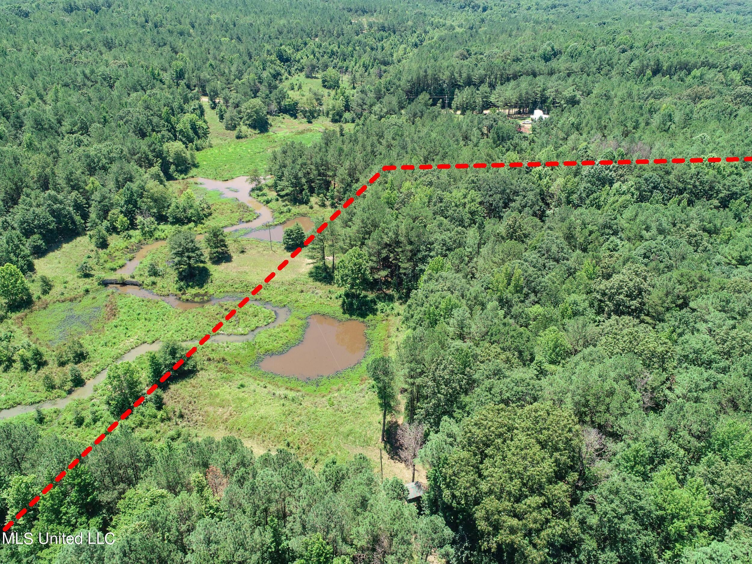 1575 State Park Road Sardis, MS 38666 - Photo 19 of 48 2statepkrd28a