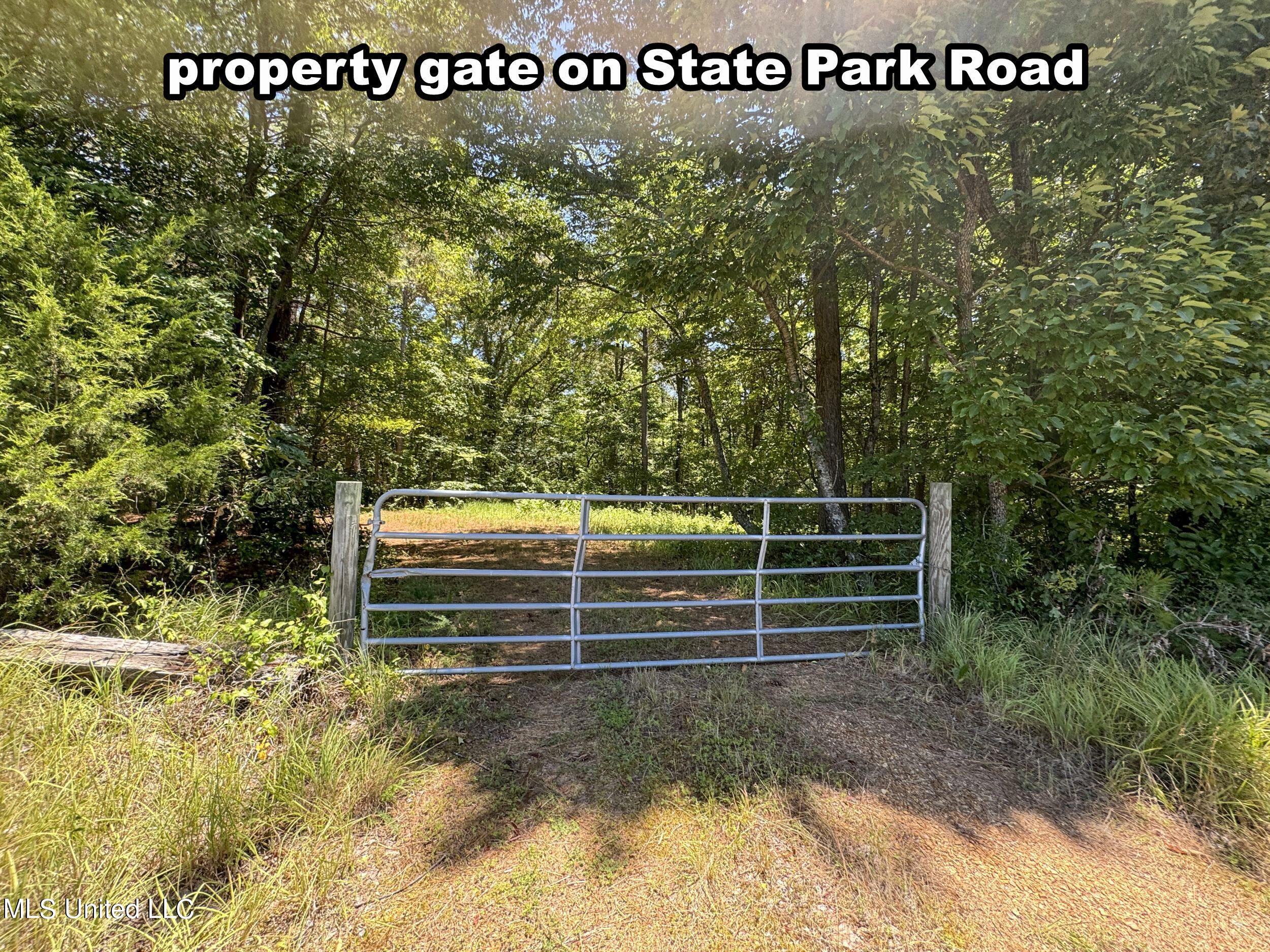 1575 State Park Road Sardis, MS 38666 - Photo 21 of 48 3statepkrd1.1