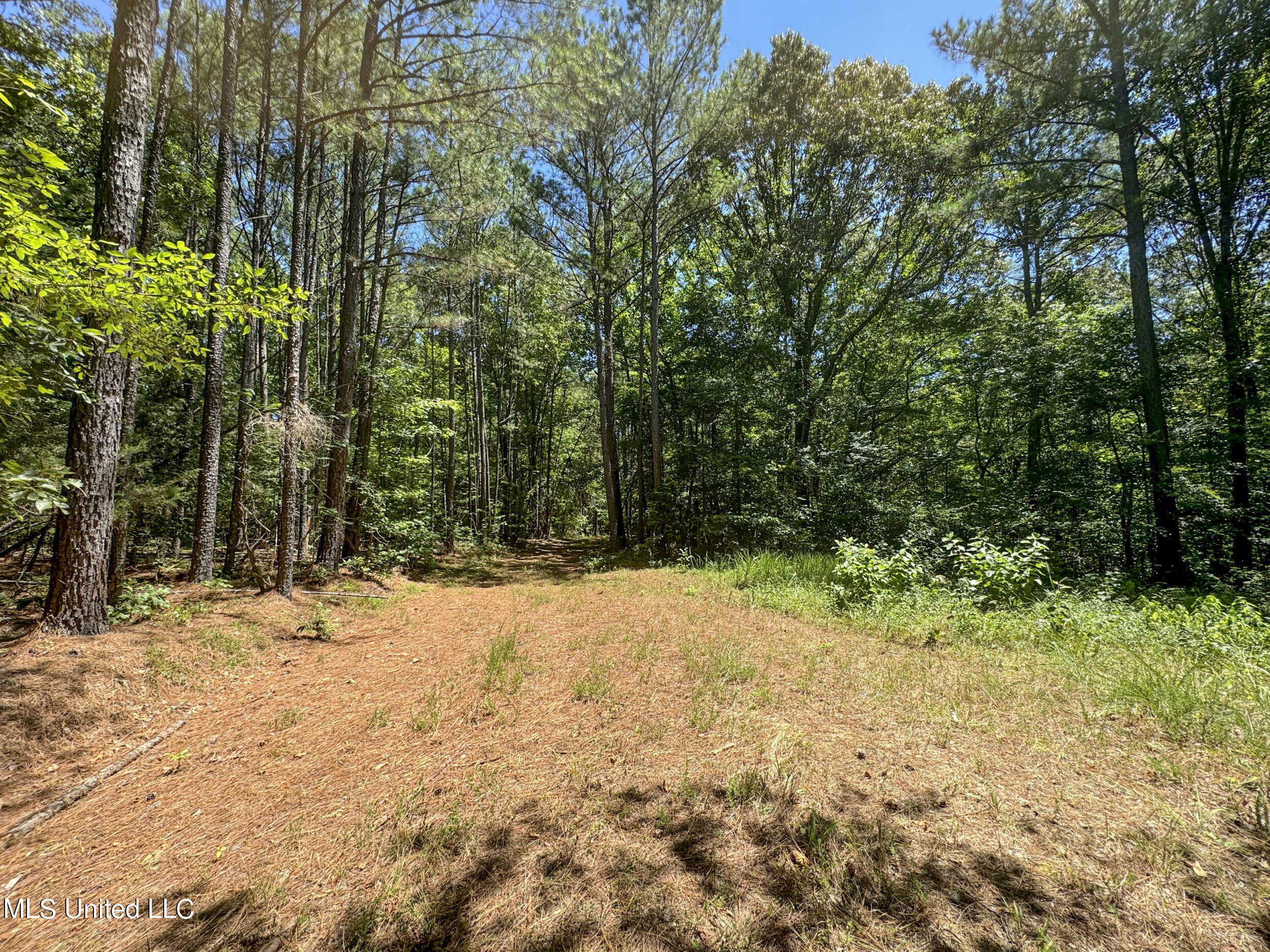 1575 State Park Road Sardis, MS 38666 - Photo 22 of 48 3statepkrd3