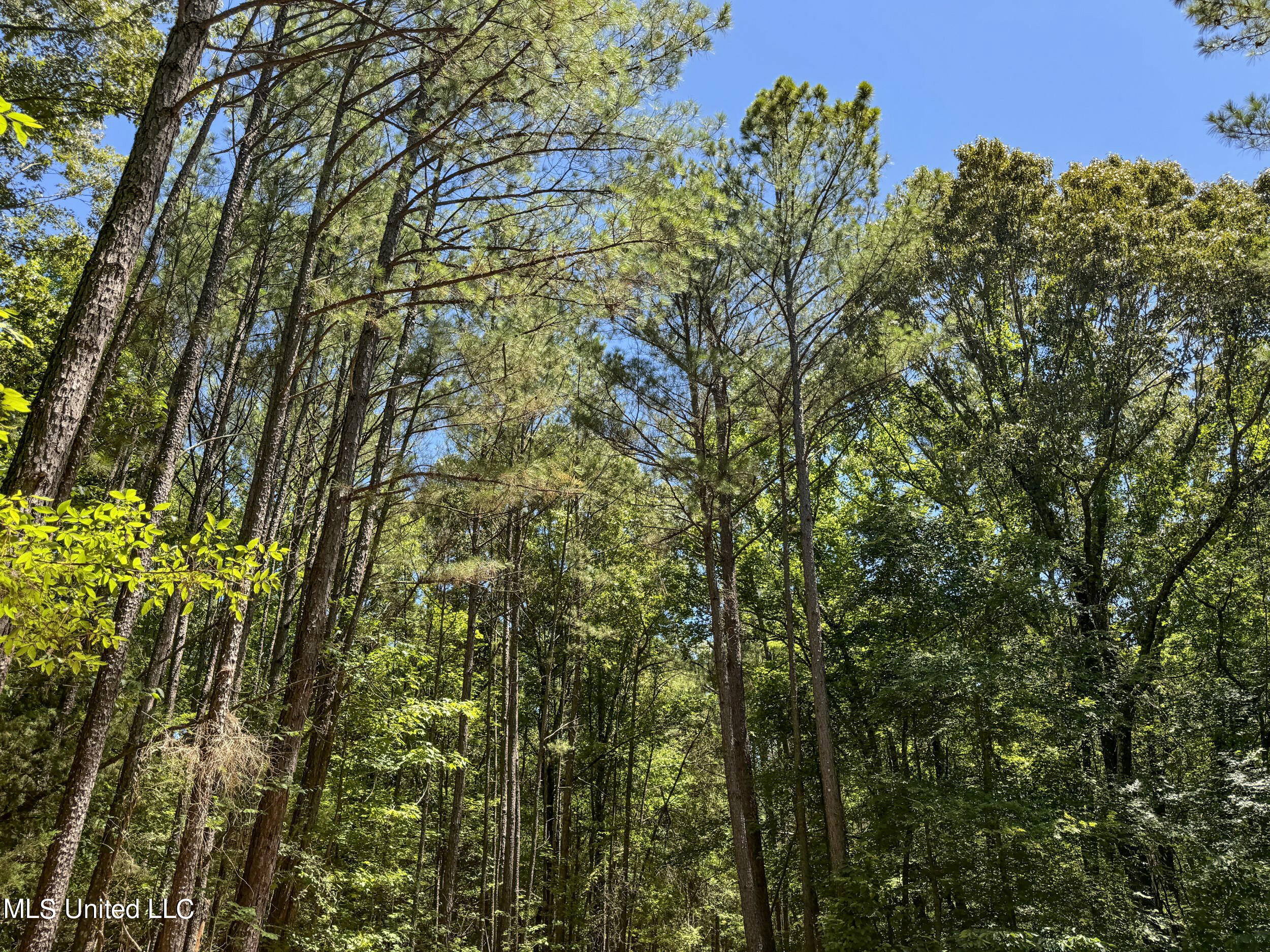 1575 State Park Road Sardis, MS 38666 - Photo 23 of 48 3statepkrd3a