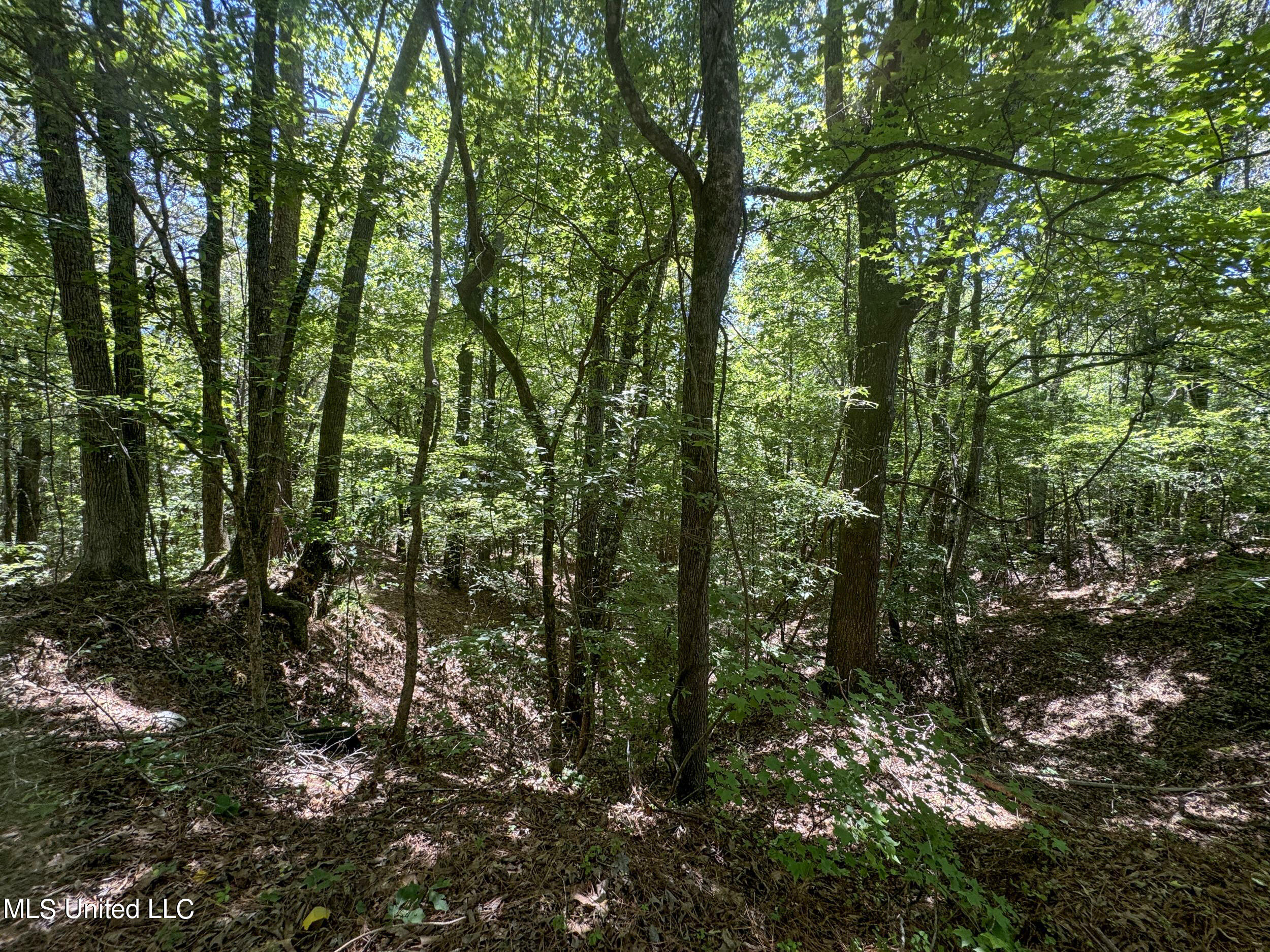 1575 State Park Road Sardis, MS 38666 - Photo 24 of 48 3statepkrd4