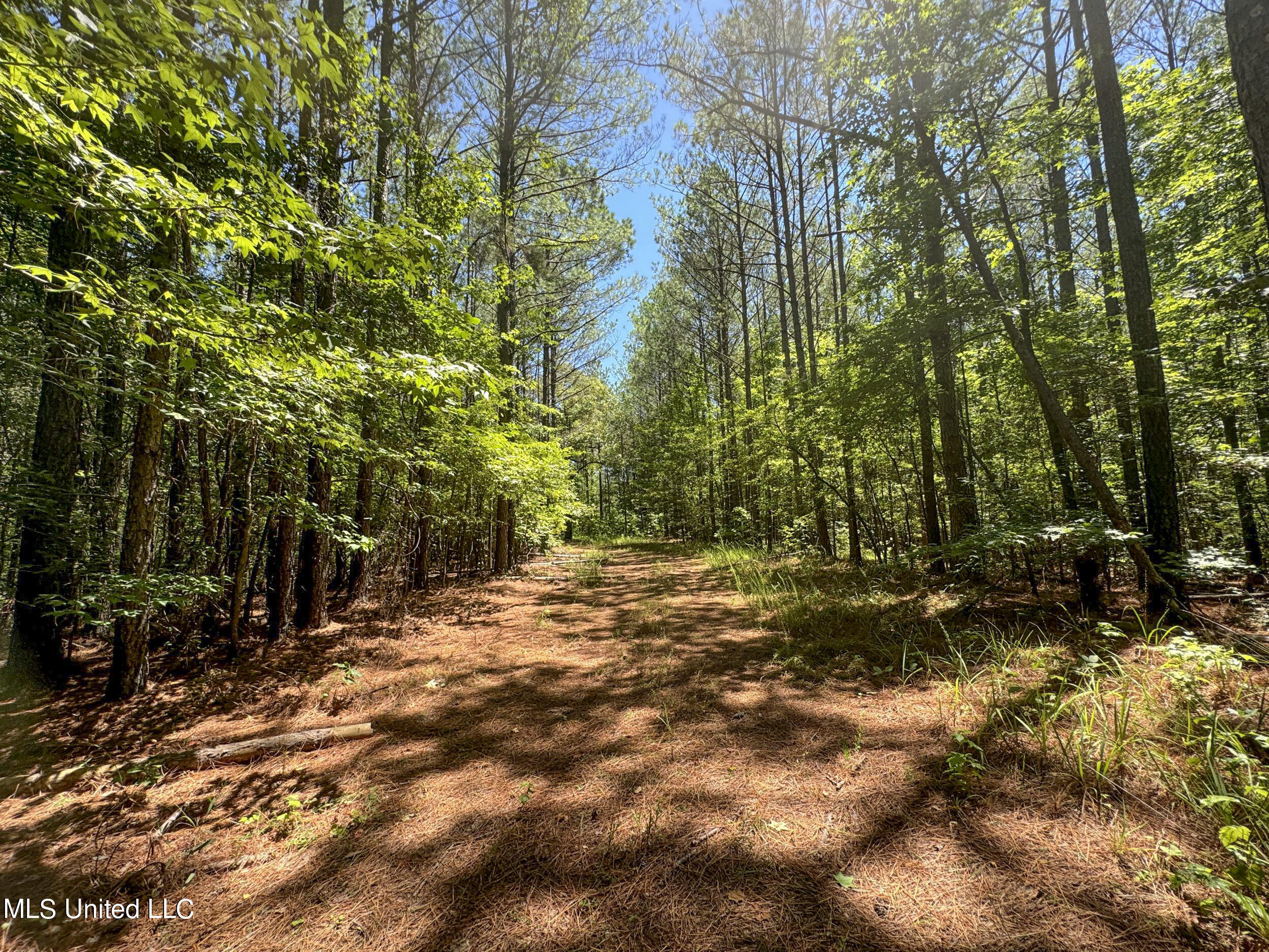 1575 State Park Road Sardis, MS 38666 - Photo 25 of 48 3statepkrd10