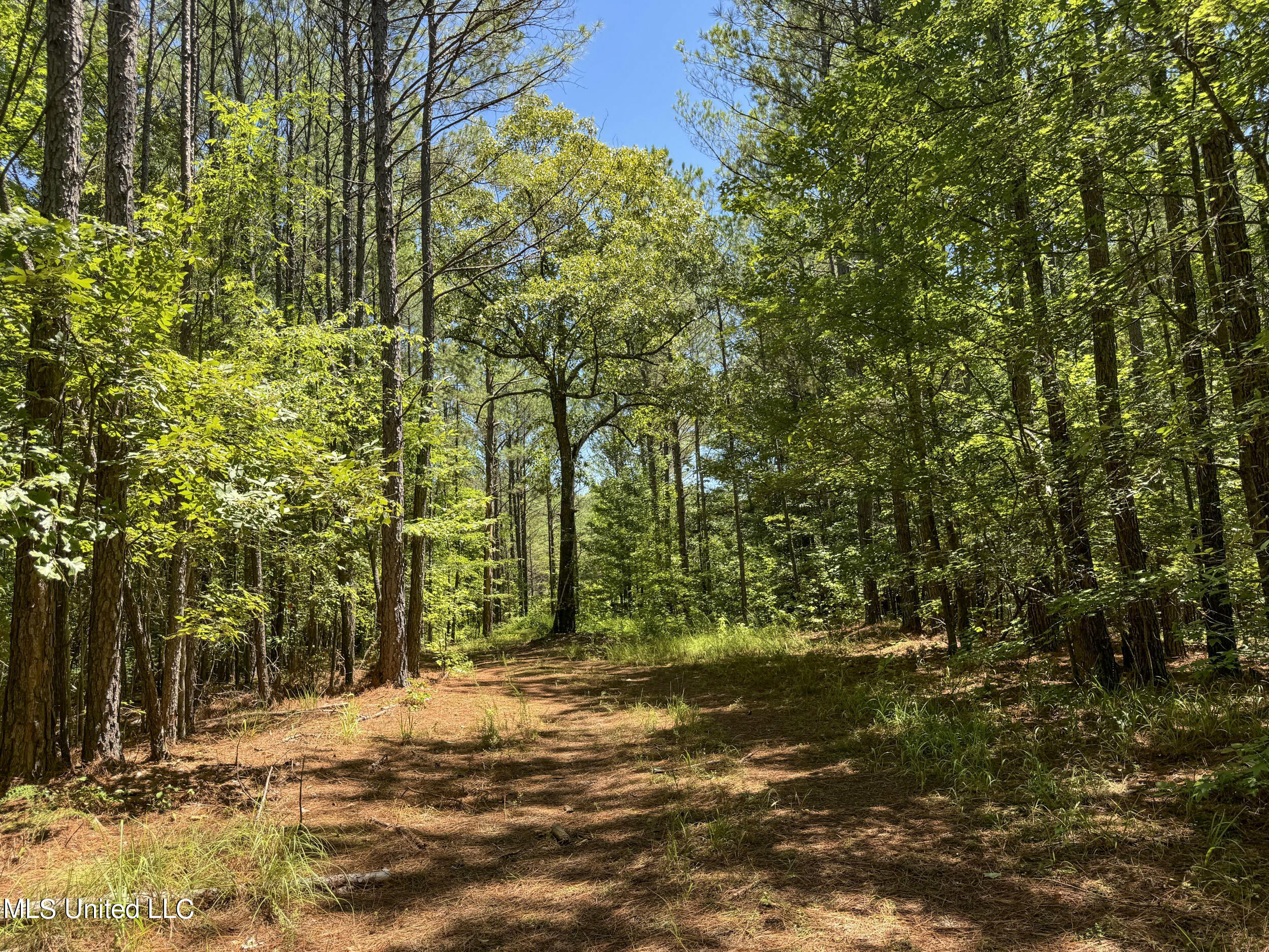 1575 State Park Road Sardis, MS 38666 - Photo 26 of 48 3statepkrd12