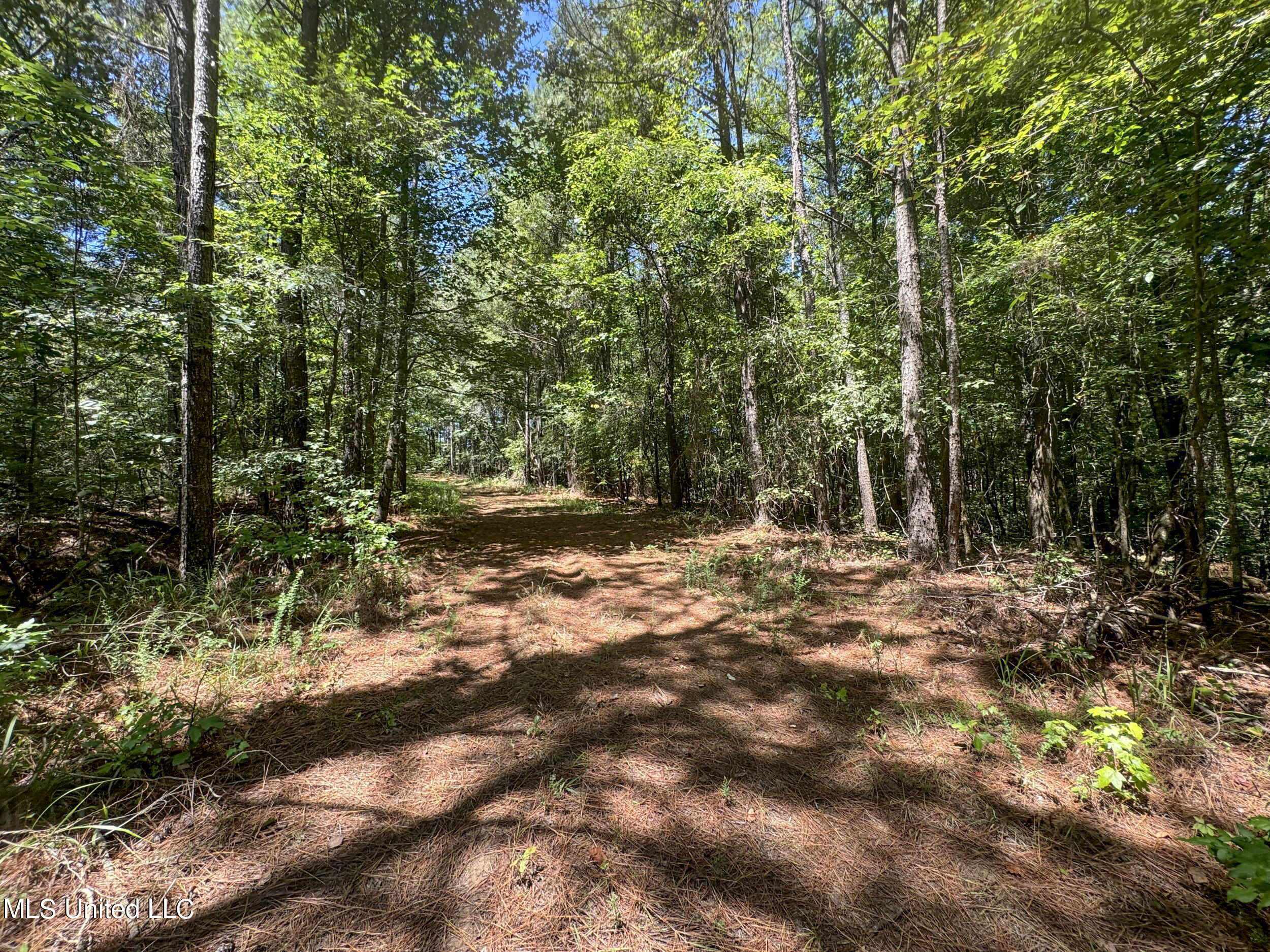 1575 State Park Road Sardis, MS 38666 - Photo 27 of 48 3statepkrd11
