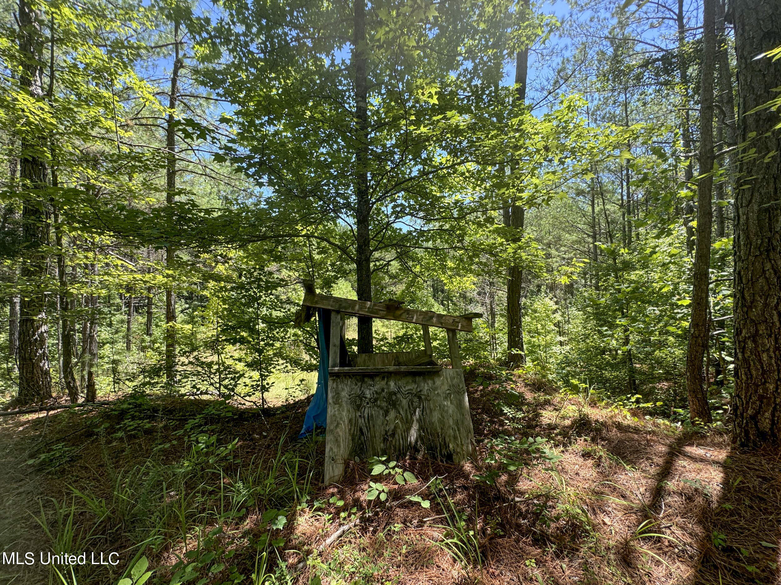 1575 State Park Road Sardis, MS 38666 - Photo 28 of 48 3statepkrd14