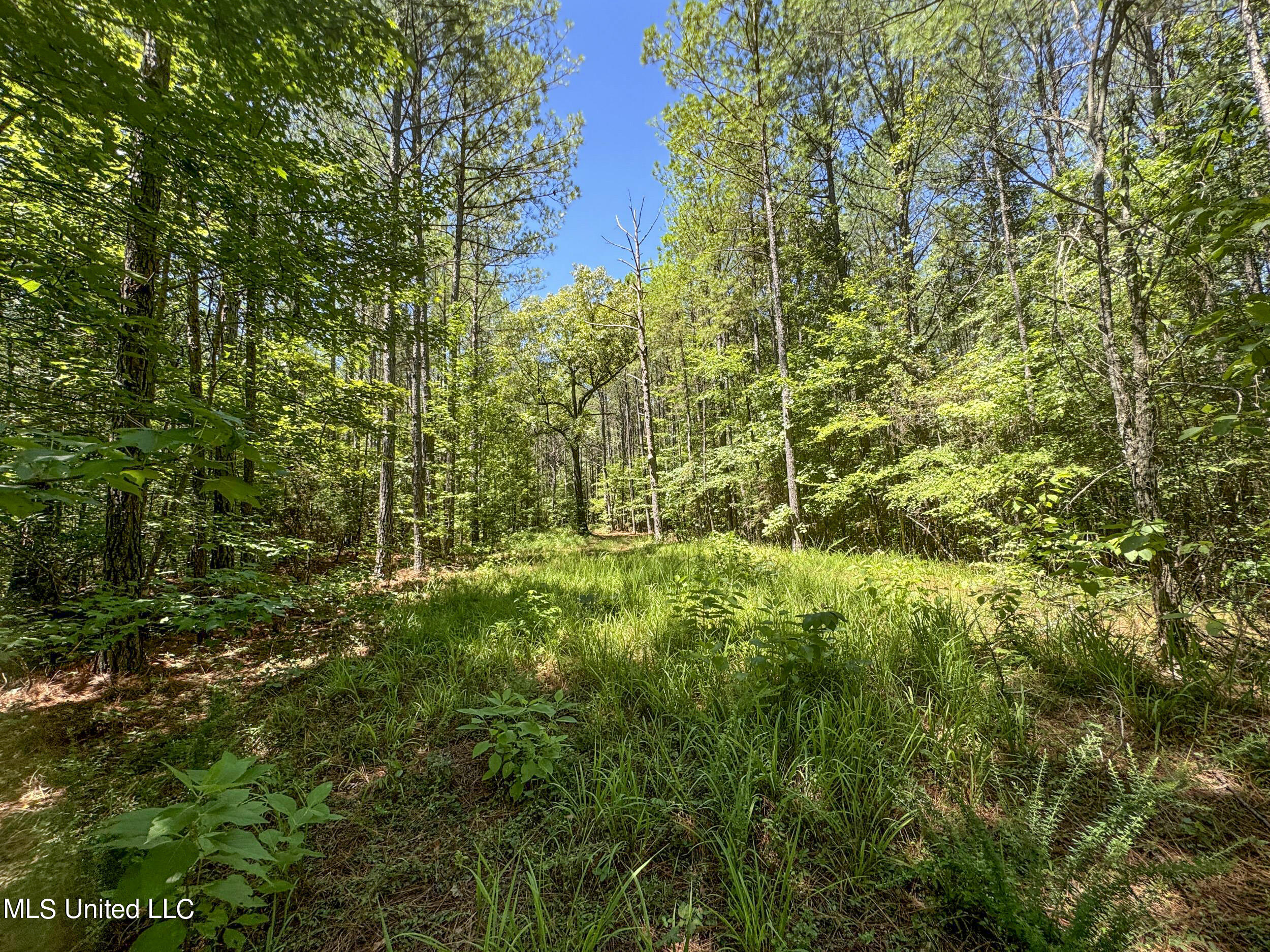 1575 State Park Road Sardis, MS 38666 - Photo 29 of 48 3statepkrd16