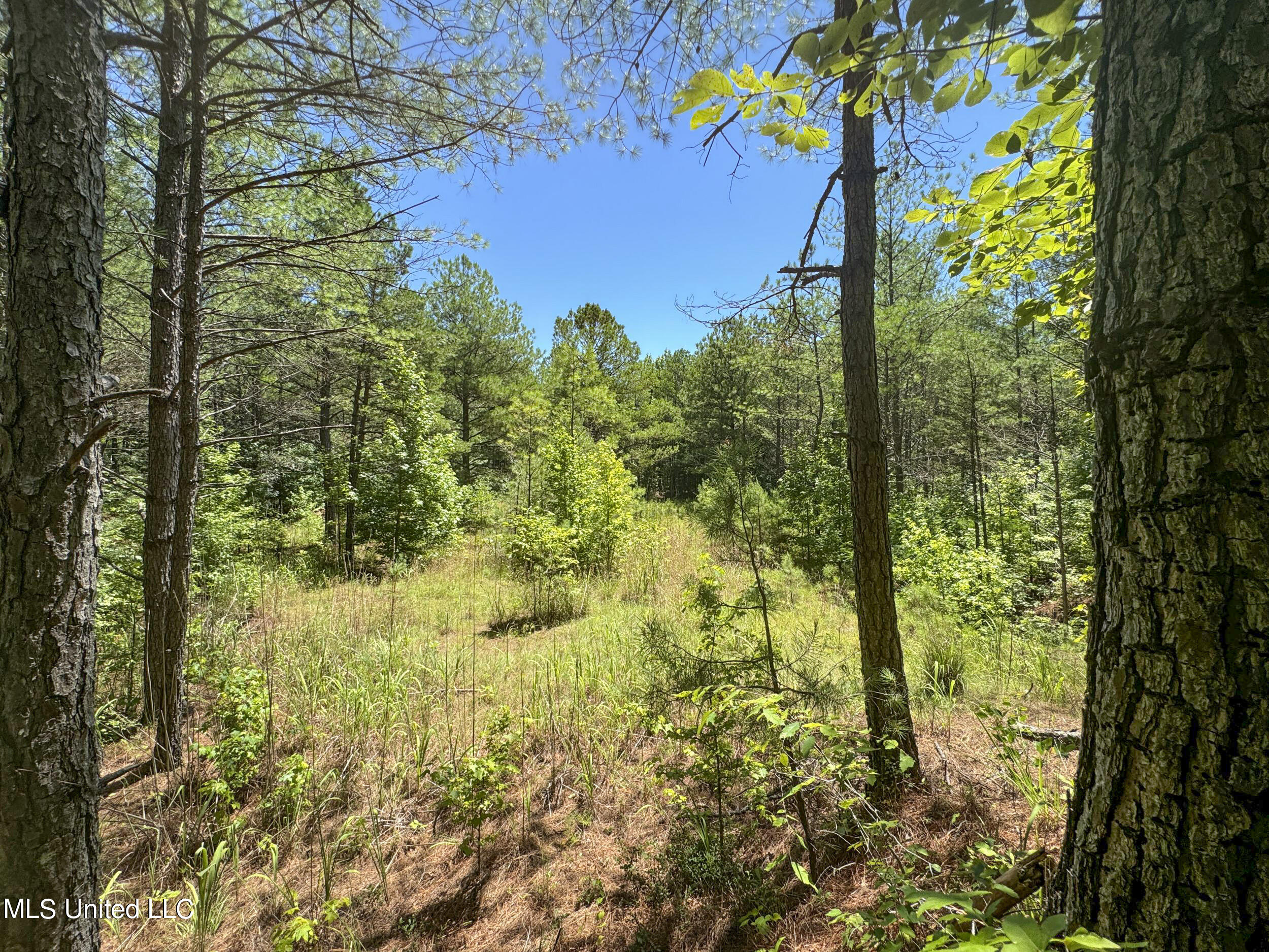 1575 State Park Road Sardis, MS 38666 - Photo 30 of 48 3statepkrd18