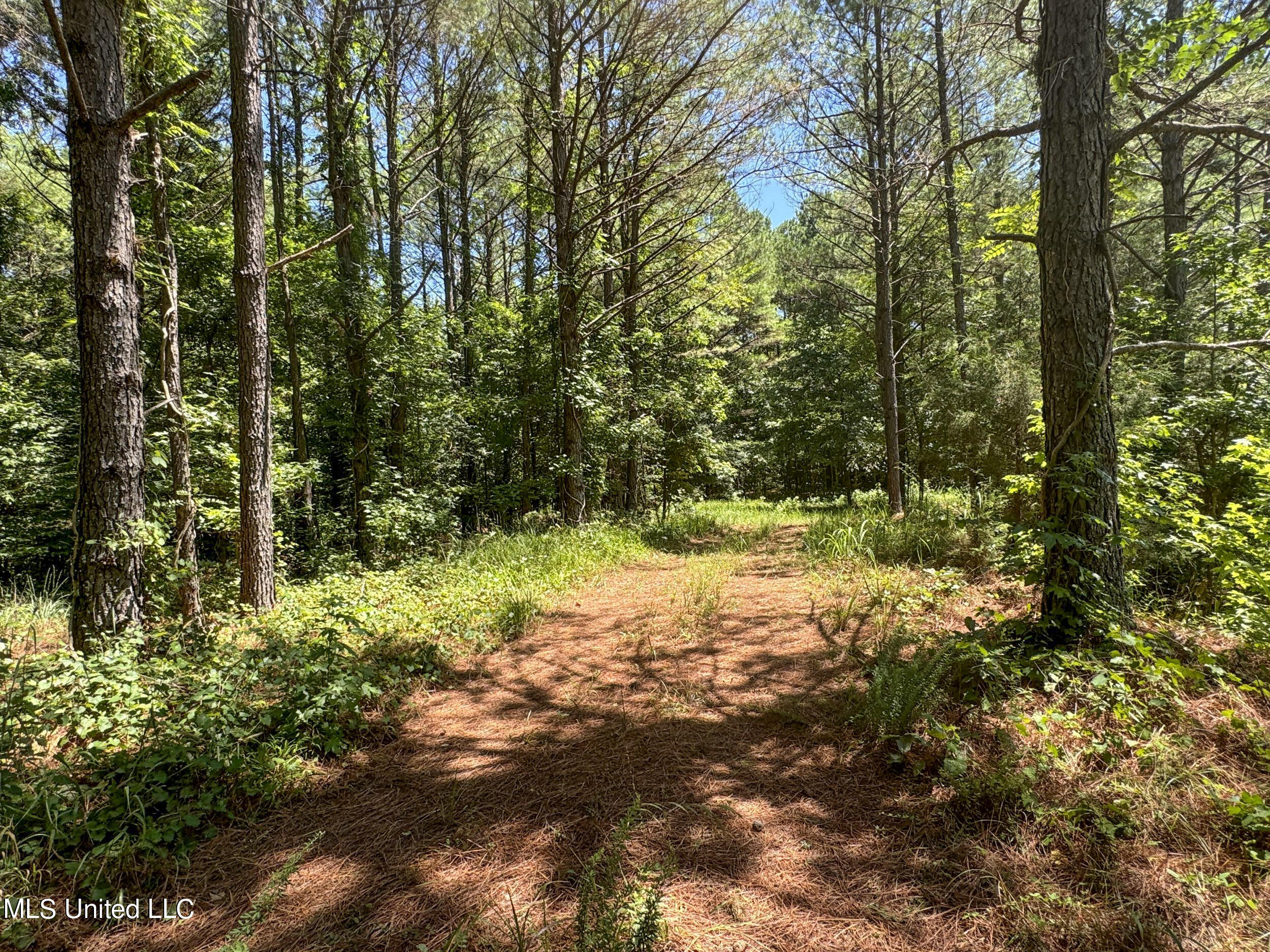 1575 State Park Road Sardis, MS 38666 - Photo 31 of 48 3statepkrd20