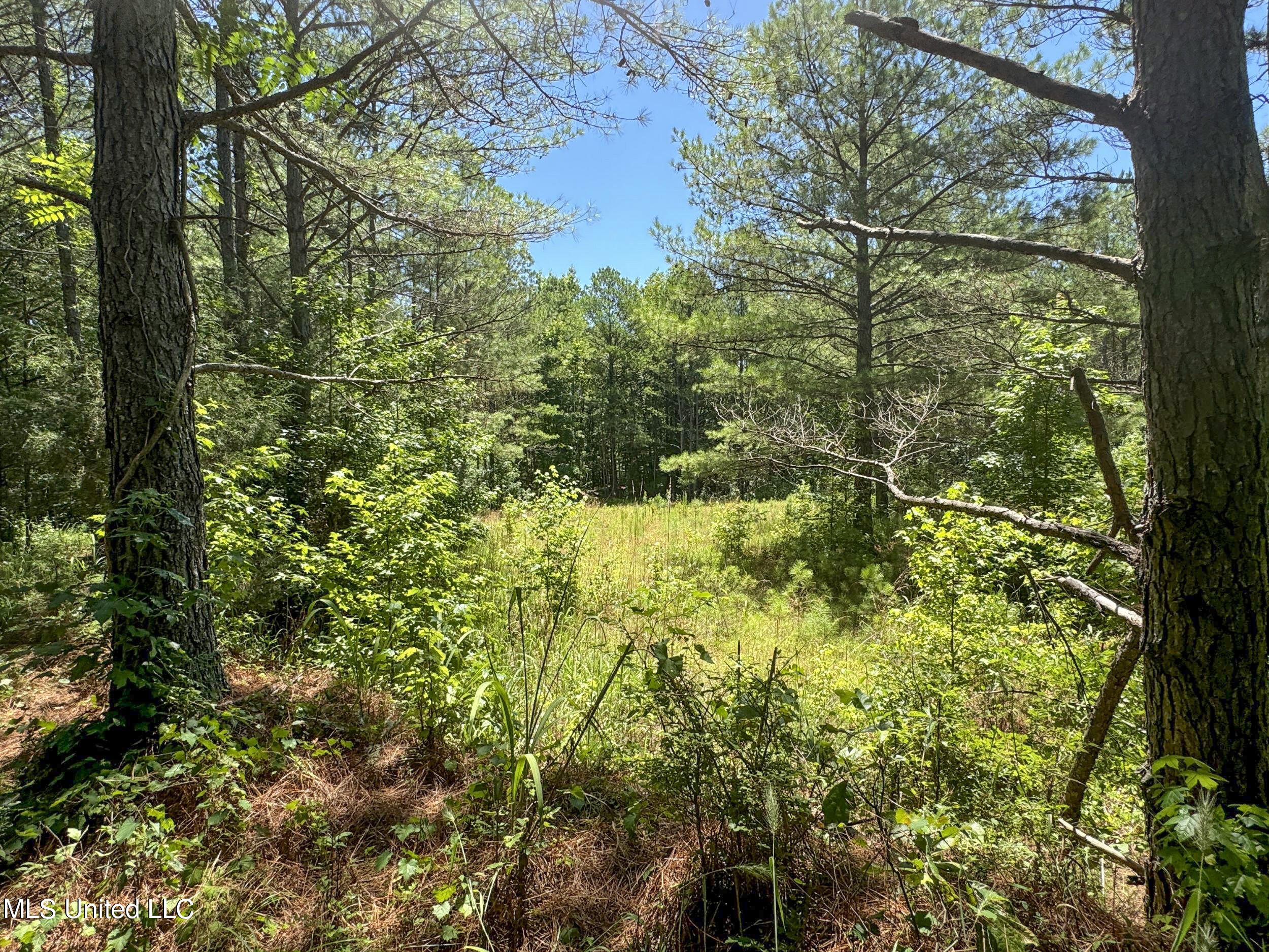 1575 State Park Road Sardis, MS 38666 - Photo 32 of 48 3statepkrd21