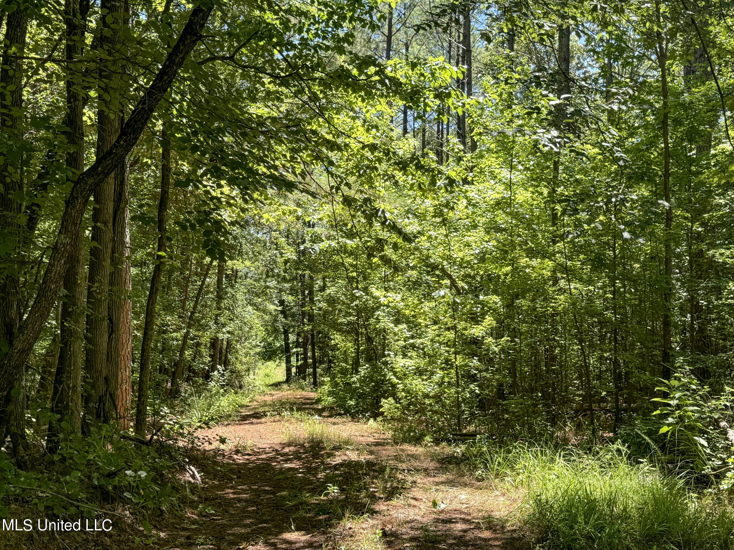 1575 State Park Road Sardis, MS 38666 - Photo 35 of 48 3statepkrd26a