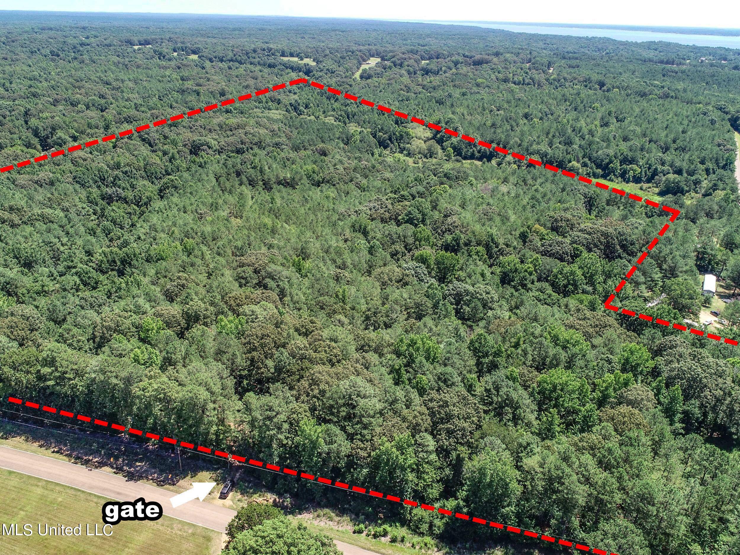 1575 State Park Road Sardis, MS 38666 - Photo 4 of 48 2statepkrd1