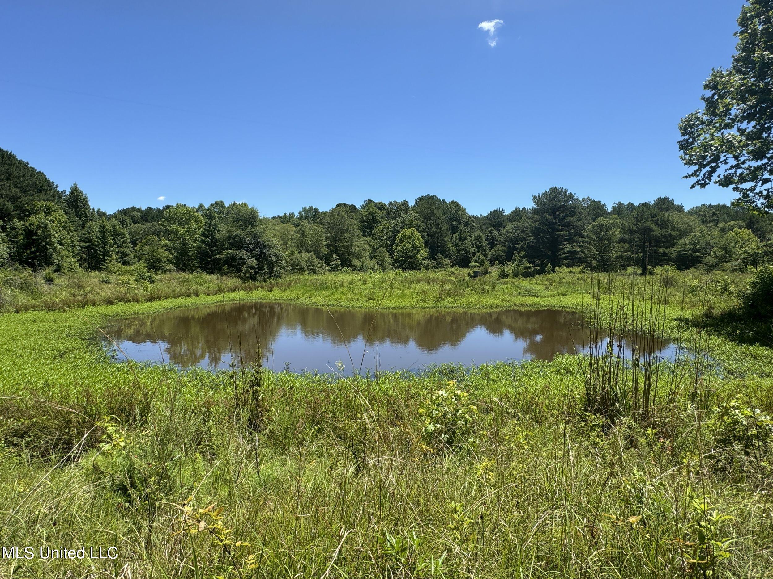 1575 State Park Road Sardis, MS 38666 - Photo 42 of 48 3statepkrd38