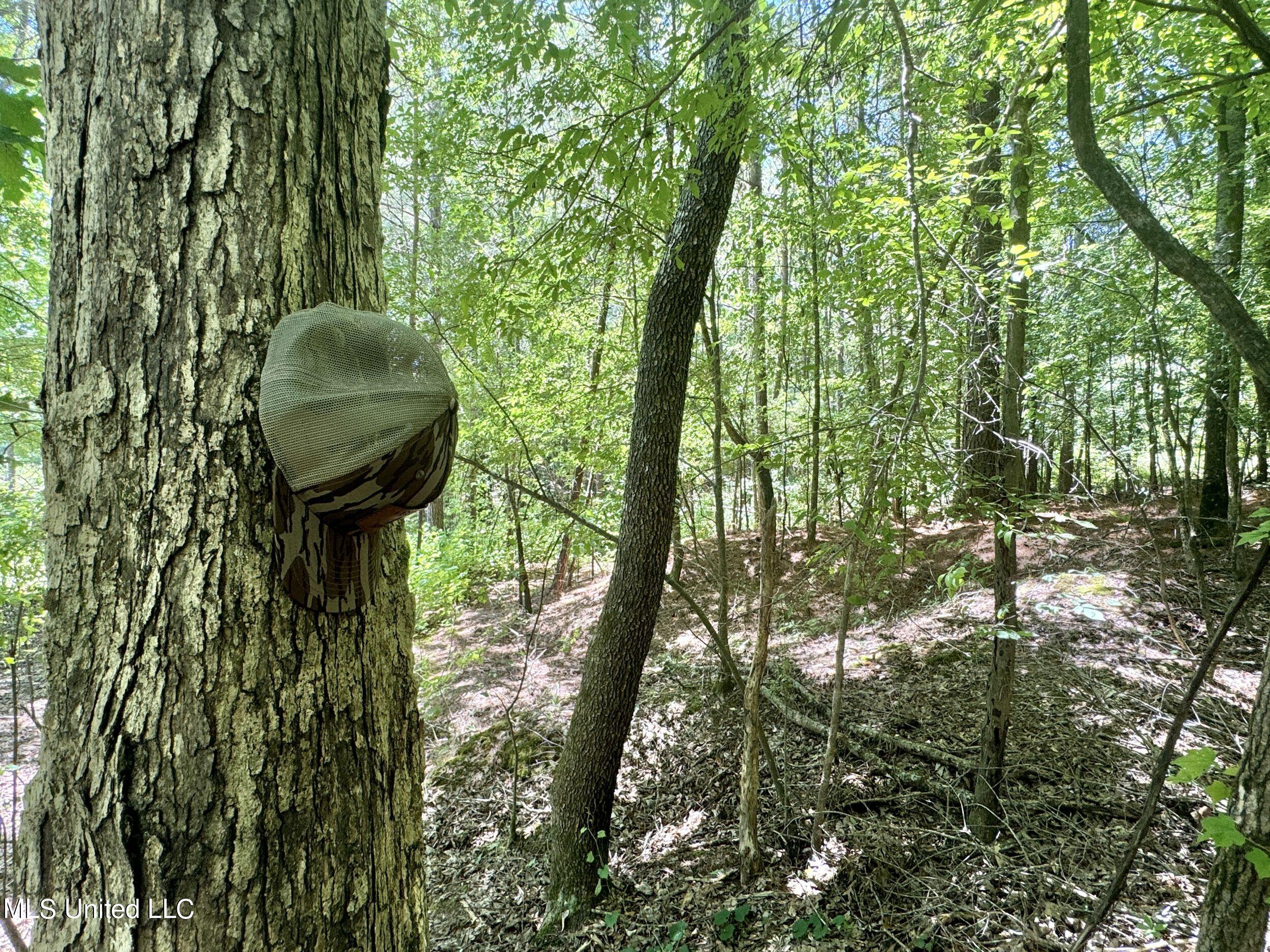 1575 State Park Road Sardis, MS 38666 - Photo 43 of 48 3statepkrd41