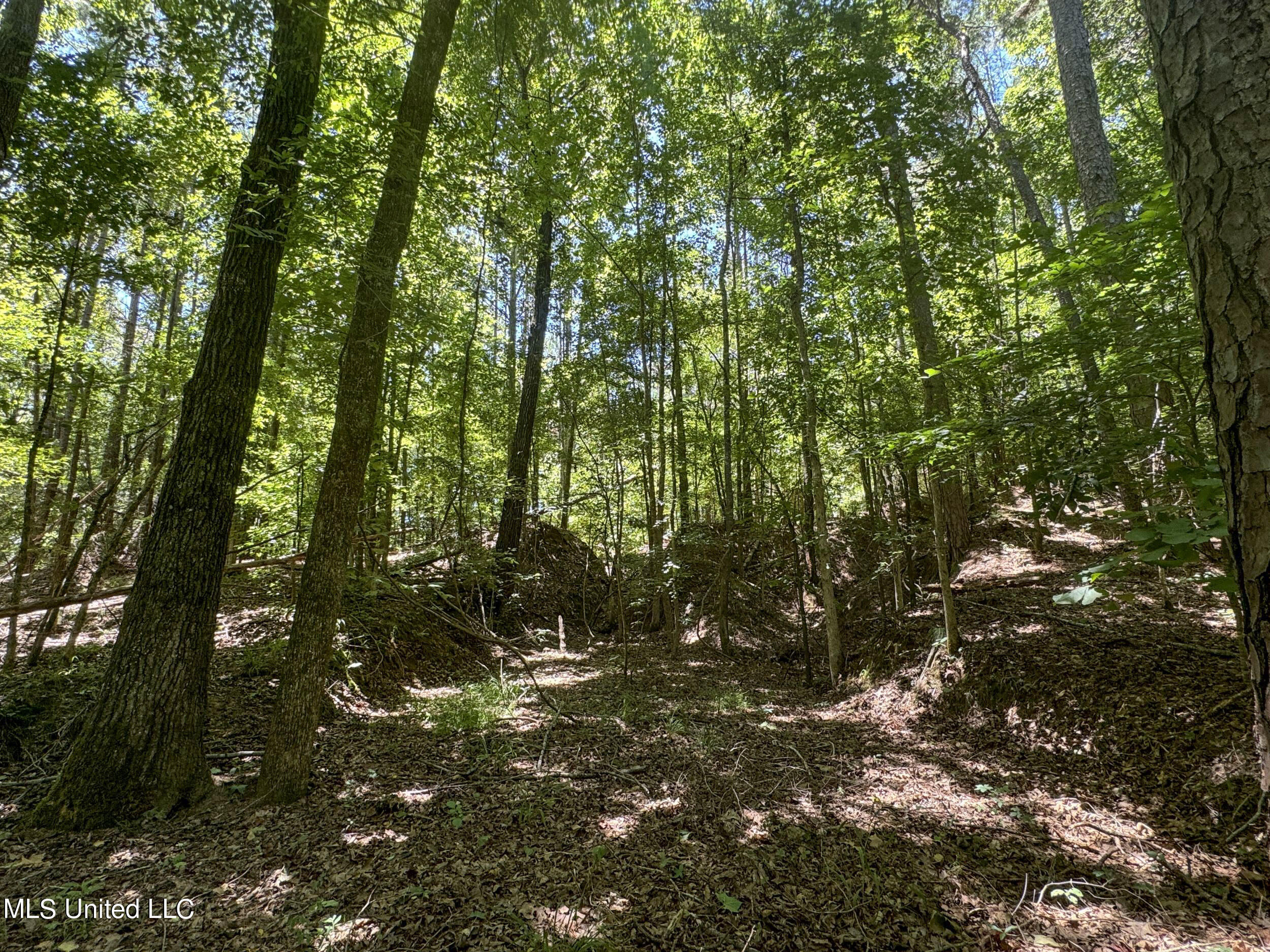 1575 State Park Road Sardis, MS 38666 - Photo 45 of 48 3statepkrd46