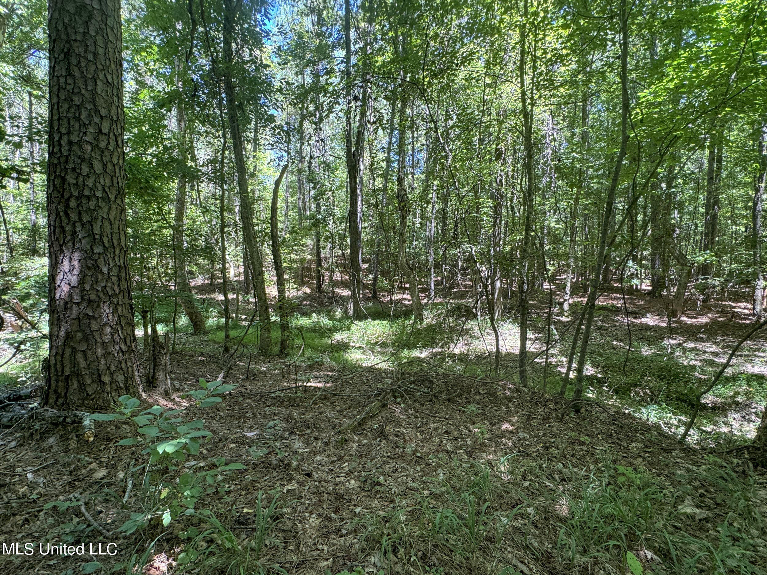 1575 State Park Road Sardis, MS 38666 - Photo 46 of 48 3statepkrd48