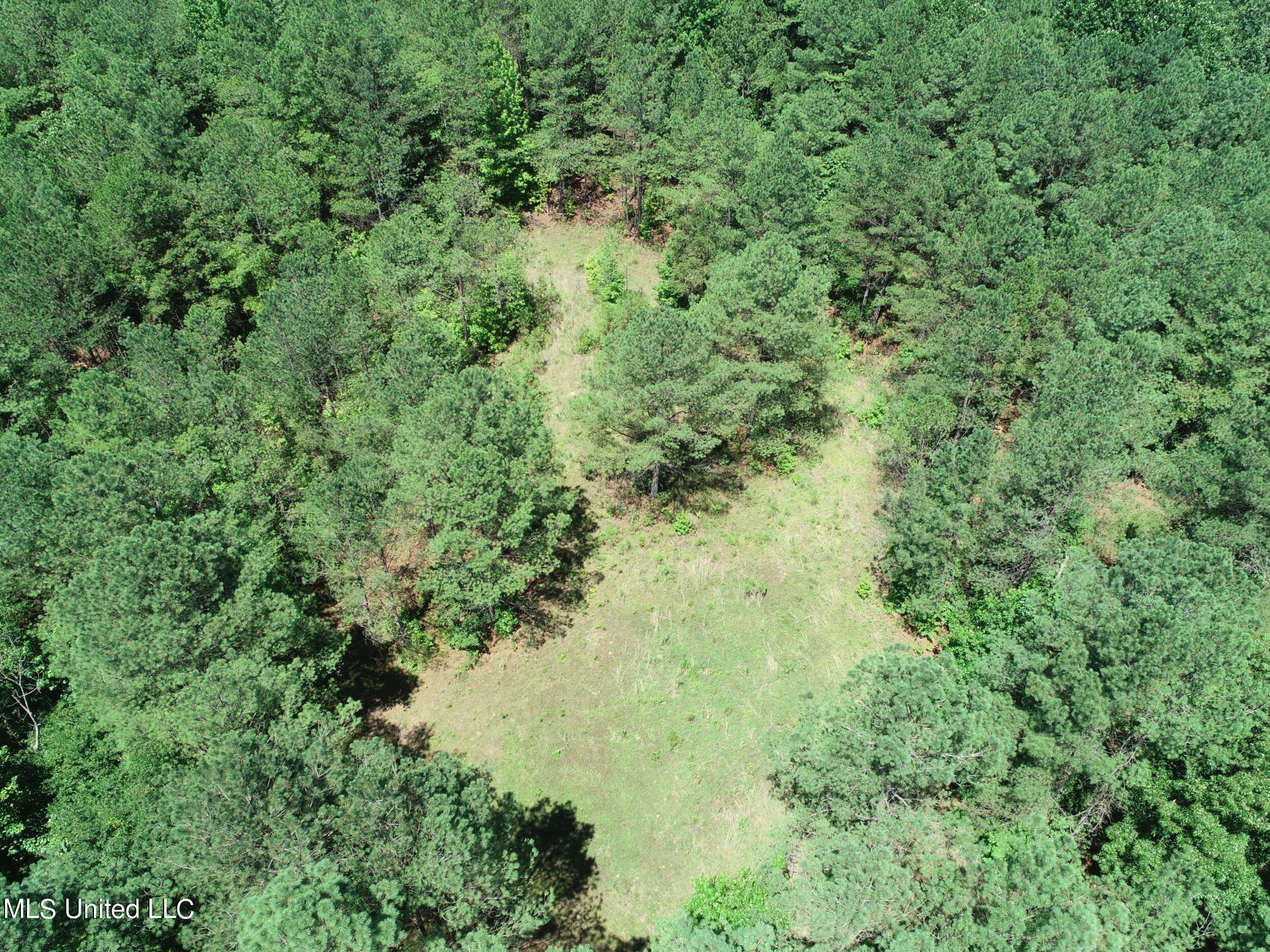 1575 State Park Road Sardis, MS 38666 - Photo 10 of 48 2statepkrd13