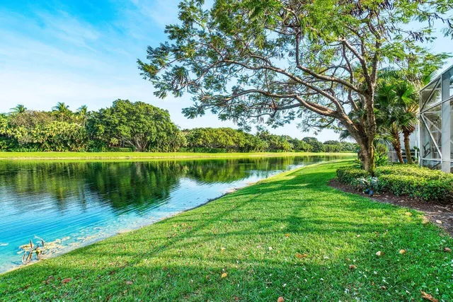 a plant is in front of a house