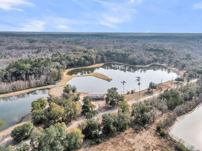 0 Pine Bluff Road Dorchester, SC 29437 - Photo 5 of 11 20260109170429310497000000-o