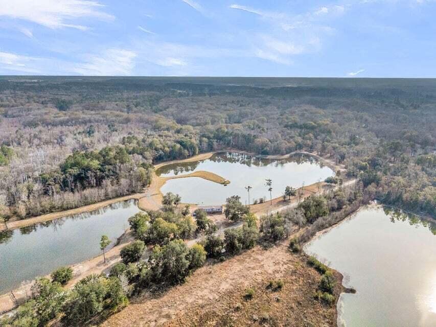 0 Pine Bluff Road Dorchester, SC 29437 - Photo 6 of 11 20260109170444999829000000-o