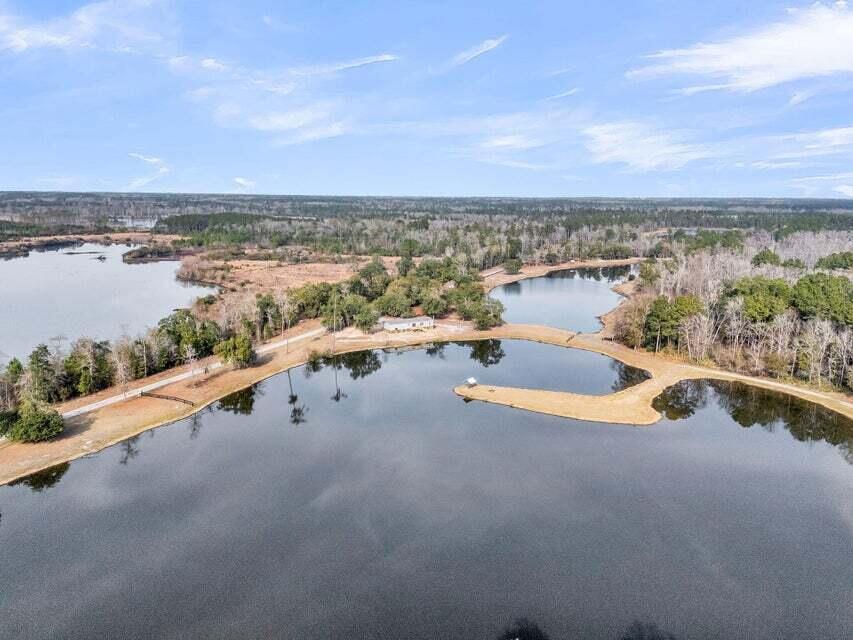 0 Pine Bluff Road Dorchester, SC 29437 - Photo 7 of 11 20260109170425872145000000-o