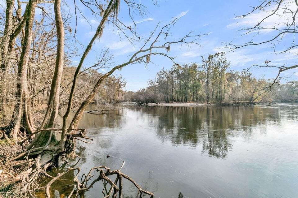 0 Pine Bluff Road Dorchester, SC 29437 - Photo 9 of 11 20260109170527958164000000-o