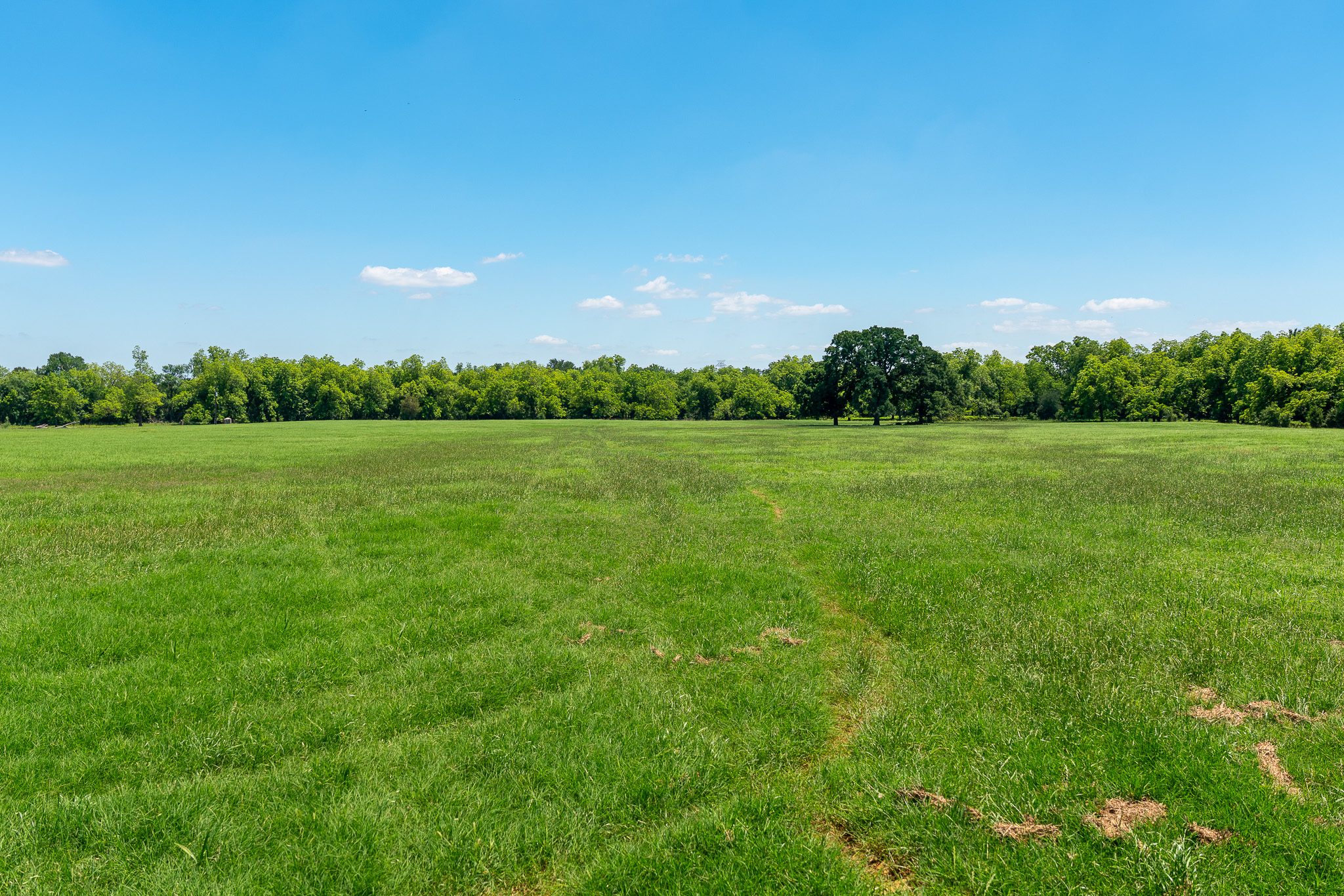 400 619th Spur Elgin, TX 78621 - Photo 5 of 40 A vast, open field with vibrant green grass offers serene natural beauty under a clear sky.