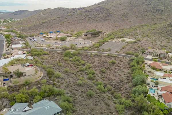 a view of a garden with a tree