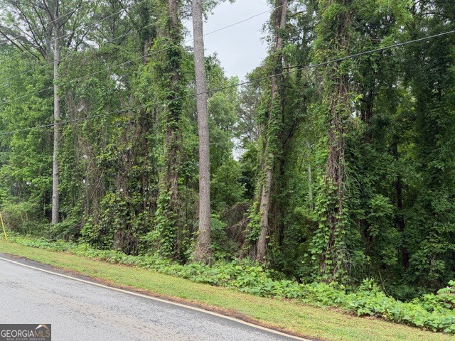 0 Johnson Road Palmetto, GA 30268 - Photo 5 of 12