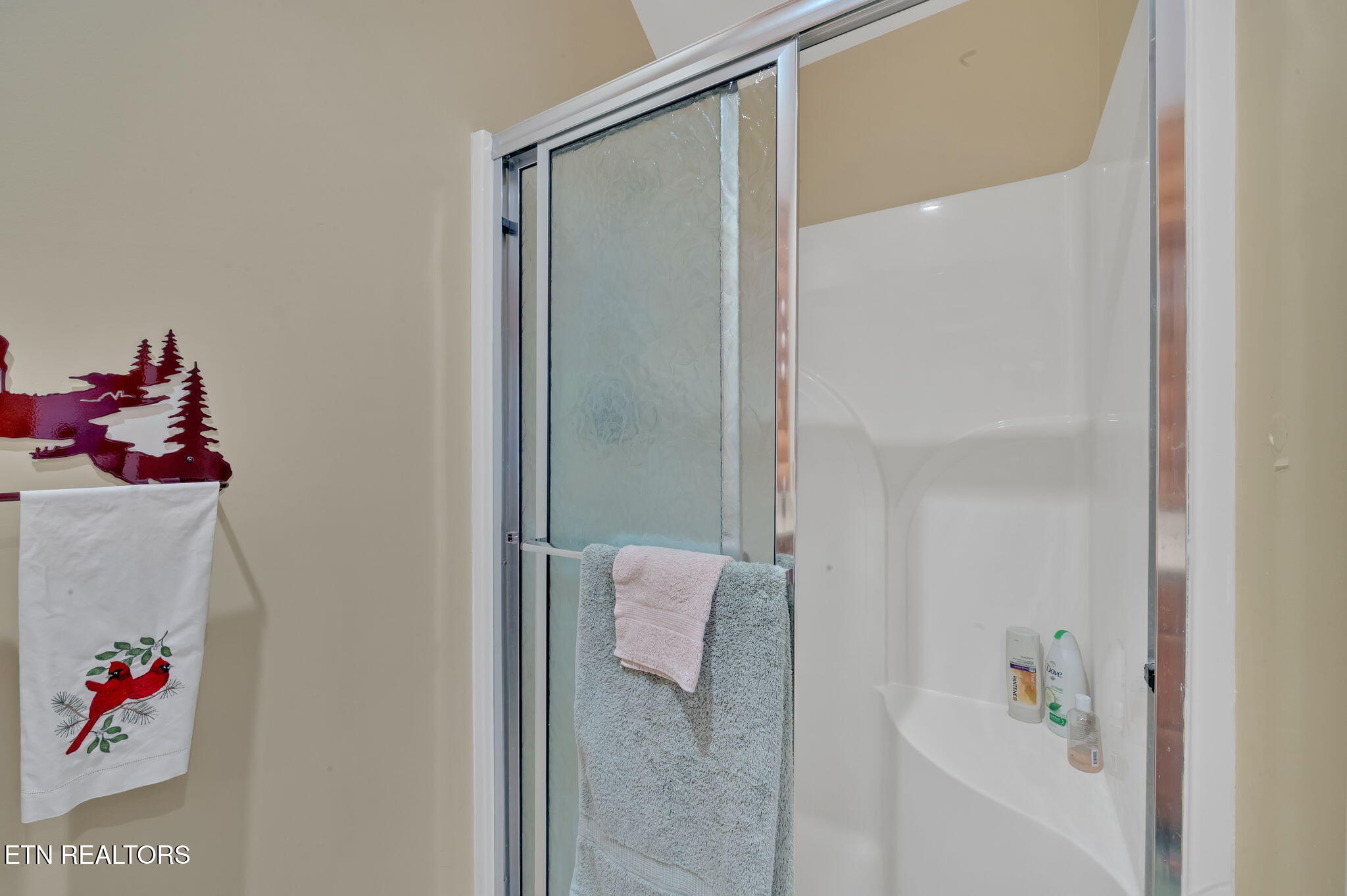 507 Clinch View Road New Tazewell, TN 37825 - Photo 17 of 47 26-web-or-mls-MMM_6032