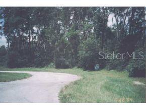 41 Southwest 38th Terrace Road Ocala, FL 34473 - Photo 1 of 1 Primary Photo