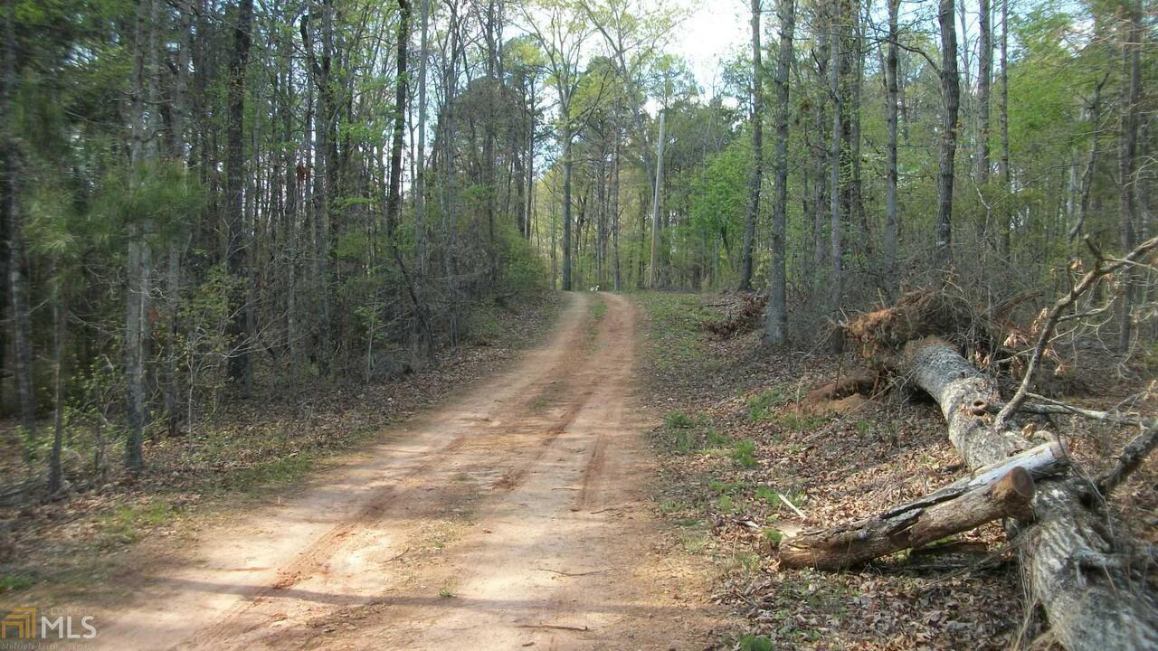3696 Smithonia Road Comer, GA 30629 - Photo 1 of 1 a view of a forest with trees in the background