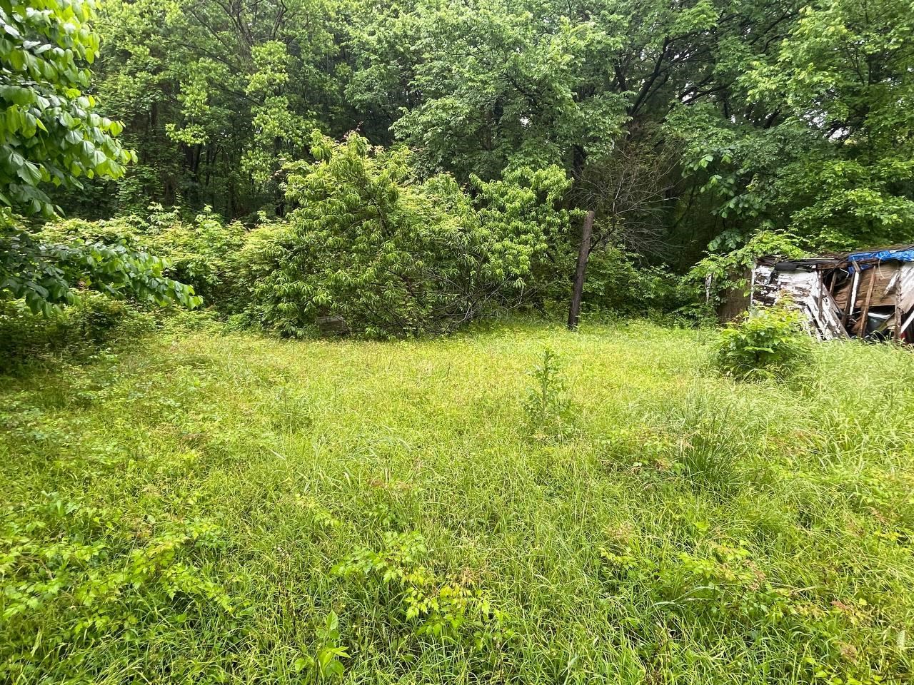 3446 Cook Road Memphis, TN 38109 - Photo 7 of 12