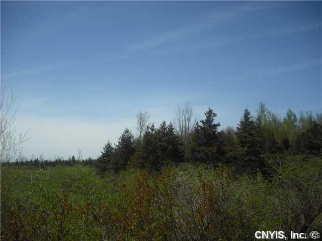 33328 Schell Road Le Ray, NY 13691 - Photo 1 of 1 Land/Lot