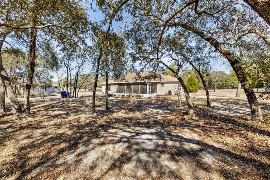 12519 Maleo Road Weeki Wachee, FL 34614 - Photo 28 of 36