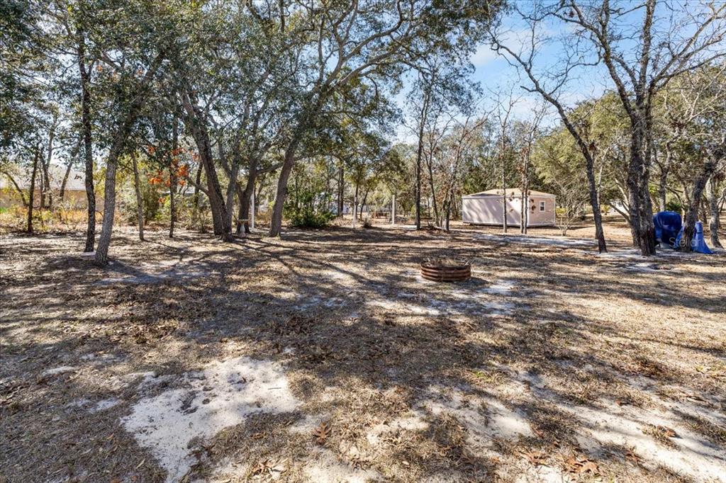 12519 Maleo Road Weeki Wachee, FL 34614 - Photo 29 of 36