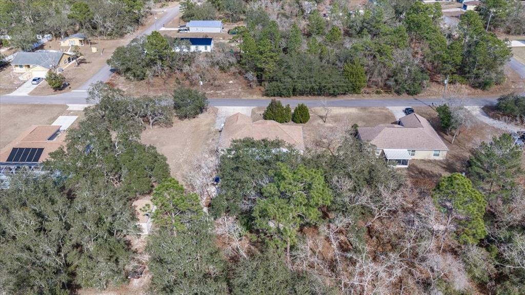 12519 Maleo Road Weeki Wachee, FL 34614 - Photo 30 of 36