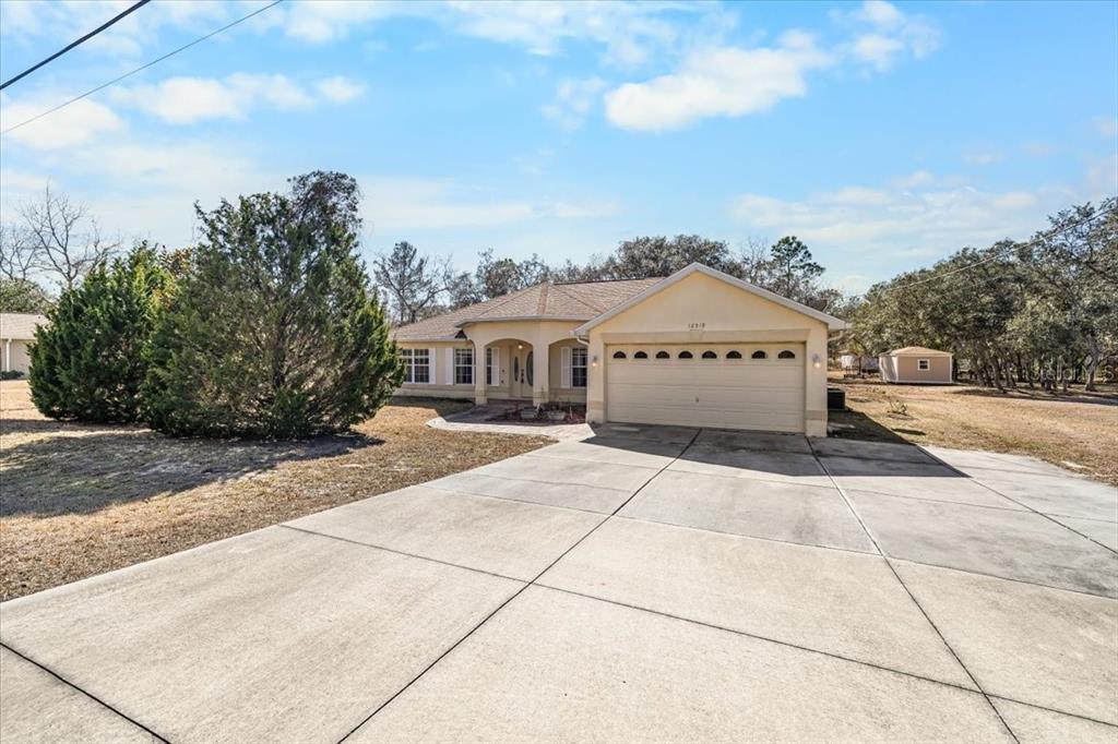 12519 Maleo Road Weeki Wachee, FL 34614 - Photo 4 of 36