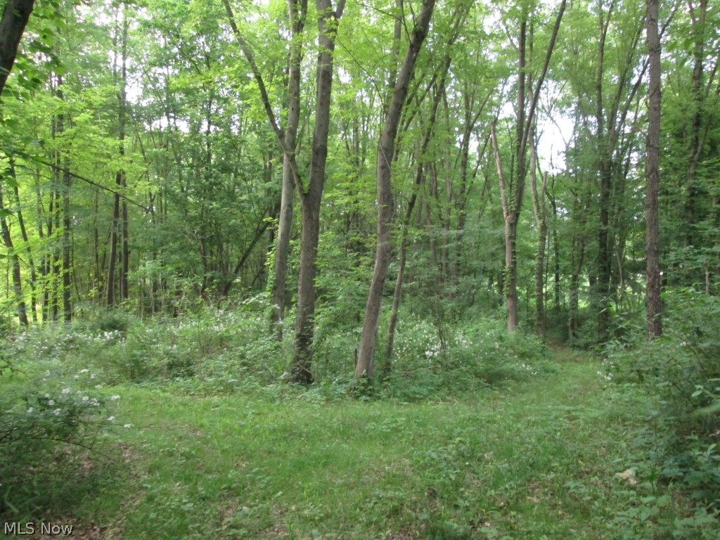 7089 Manchester Road Canal Fulton, OH 44614 - Photo 23 of 24 Gallery Image 23