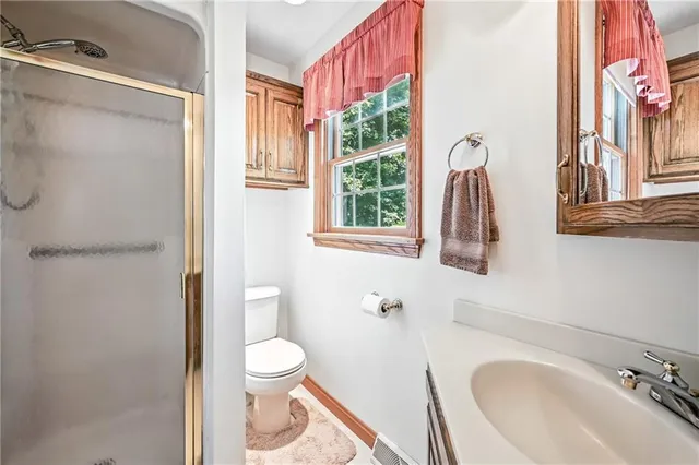 a bathroom with a sink a toilet and a shower