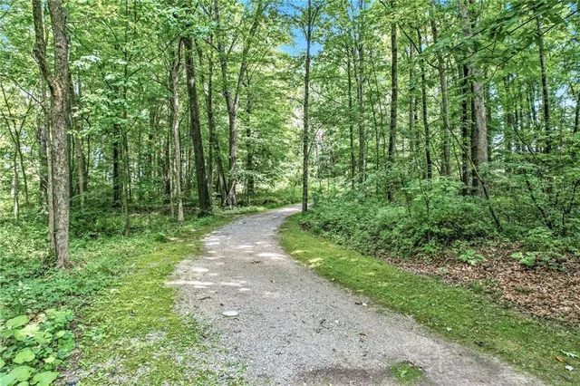 a big yard with lots of green space and deers