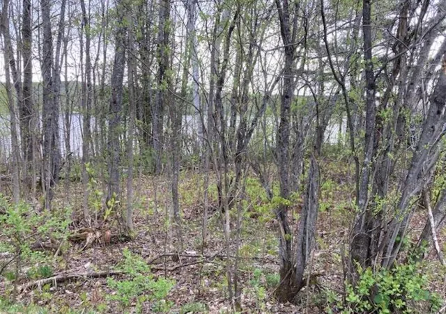 $34,999 | 0 Pelletier Lane, Eagle Lake, ME 04739