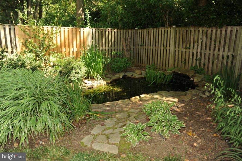 6915 Gillings Road Springfield, VA 22152 - Photo 13 of 30 Fish Pond